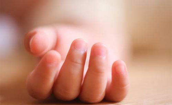 ���ķ�������ô���� �������ķ�������������